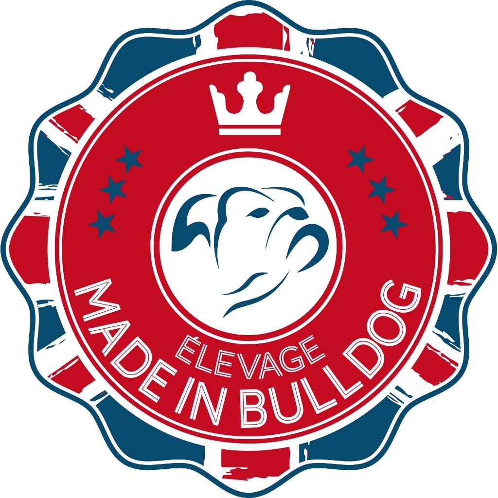 Made In Bulldog - Logo Made in Bulldog 