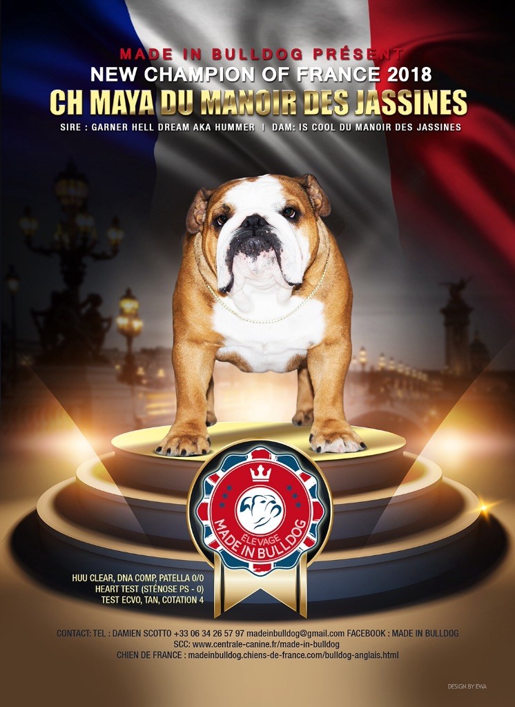 Made In Bulldog - Maya du Manoir des Jassines Championne de France 2018