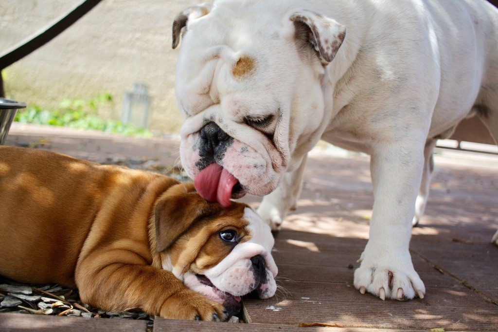 Louis & Maya 
